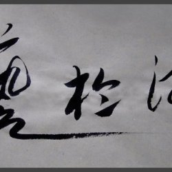 於藝游圖片照片_於藝游