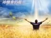 生命河靈糧堂圖片照片
