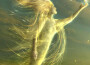 Find A Way (SizzleBird Remix)專輯_SizzleBirdFind A Way (SizzleBird Remix)最新專輯