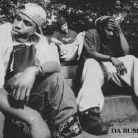Da Bush Babees圖片照片_Da Bush Babees