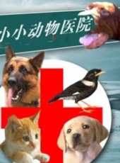 劉丹最新電影_劉丹電影全集線上看_好看的電影