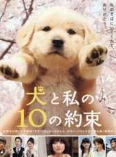 田中麗奈演過的電影電視劇線上看_影視作品大全_好看的明星