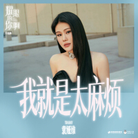 我就是太麻煩