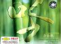 民樂寶典（九）專輯_江蘇省歌舞團民族樂隊民樂寶典（九）最新專輯