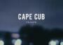 Cape Cub