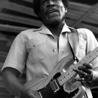 Johnny Copeland圖片照片_Johnny Copeland