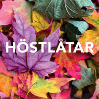 Höstlåtar (Explicit)專輯_Håkan HellströmHöstlåtar (Explicit)最新專輯