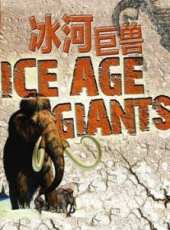 最新2013其它電視劇_好看的2013其它電視劇大全/排行榜 - 蟲蟲電視劇