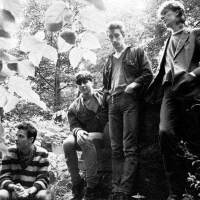 The Chameleons圖片照片_The Chameleons