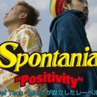 Spontania圖片照片_Spontania