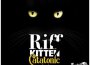 Catatonic專輯_Riff KittenCatatonic最新專輯