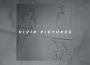 Vivid Pictures專輯_timmiesVivid Pictures最新專輯