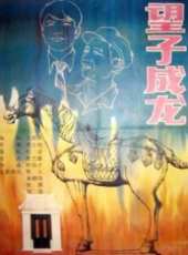 安琪最新電影_安琪電影全集線上看_好看的電影
