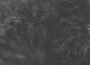 Cashmere Cat最新歌曲_最熱專輯MV_圖片照片