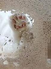 花花與三貓CatLive 2019最新一期線上看_全集完整版高清線上看_好看的綜藝