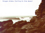 Surfing On Sine Waves專輯_Polygon WindowSurfing On Sine Waves最新專輯