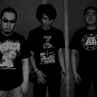 Coffins圖片照片_Coffins