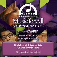 Festival Chamber Orchestra圖片照片_照片寫真