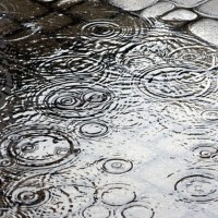 雨聲：冥想雨