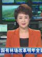 遼寧新聞最新一期線上看_全集完整版高清線上看 - 蟲蟲綜藝