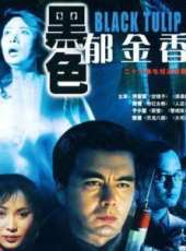 張恆最新電視劇_張恆電視劇作品全集線上看_好看的電視劇