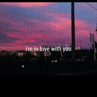 im in love with you