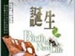 有情天音樂歌曲歌詞大全_有情天音樂最新歌曲歌詞