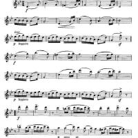 匈牙利舞曲 第五號圖片照片_照片寫真