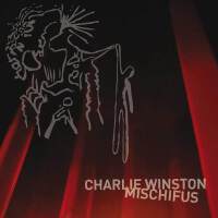 Charlie Winston圖片照片_Charlie Winston