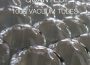 Quantec最新歌曲_最熱專輯MV_圖片照片