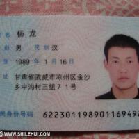 楊龍圖片照片_楊龍