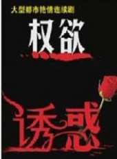權欲誘惑線上看_全集高清完整版線上看_分集劇情介紹_好看的電視劇