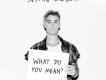 What Do You Mean?專輯_Justin BieberWhat Do You Mean?最新專輯