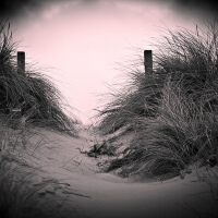 Sombre Chemin圖片照片_Sombre Chemin