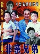 非親兄弟線上看_全集高清完整版線上看_分集劇情介紹_好看的電視劇