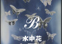劉兆宇最新歌曲_最熱專輯MV_圖片照片