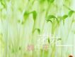 魏佳慶歌曲歌詞大全_魏佳慶最新歌曲歌詞