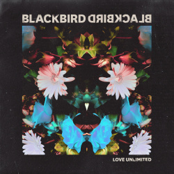 Love Unlimited圖片照片_Love Unlimited
