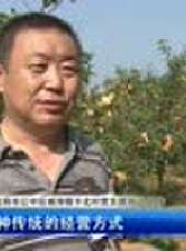 遼寧新聞最新一期線上看_全集完整版高清線上看 - 蟲蟲綜藝