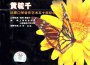 黃毓千最新歌曲_最熱專輯MV_圖片照片
