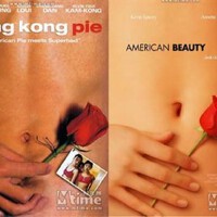 美國美人American Beauty圖片照片_美國美人American Beauty