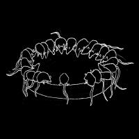 Three Seas歌曲歌詞大全_Three Seas最新歌曲歌詞