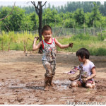 Muddy&nbsp;Waters圖片照片