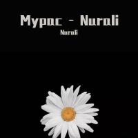 Nurali歌曲歌詞大全_Nurali最新歌曲歌詞