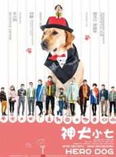 神犬小七湖南線上看_全集高清完整版線上看_分集劇情介紹 - 蟲蟲電視劇