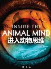 BBC：進入動物的思維線上看_全集高清完整版線上看_分集劇情介紹_好看的電視劇