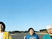 Sambomaster歌曲歌詞大全_Sambomaster最新歌曲歌詞