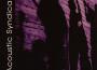 Acoustic Syndicate專輯_Acoustic SyndicateAcoustic Syndicate最新專輯