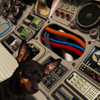Disasteradio歌曲歌詞大全_Disasteradio最新歌曲歌詞