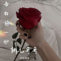 告白前一秒專輯_辮兒哥哥告白前一秒最新專輯